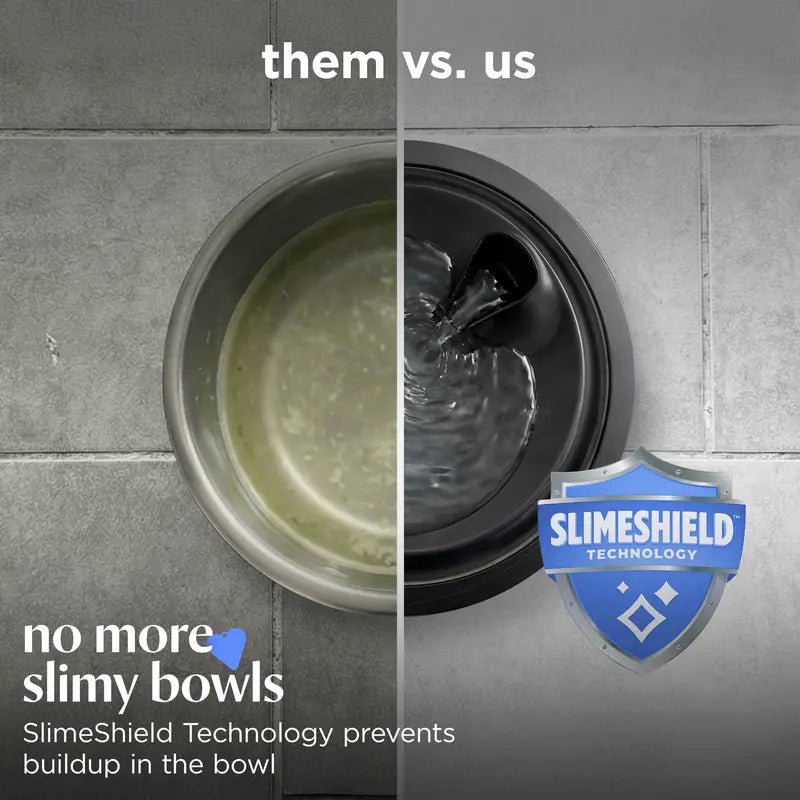 Fresh Running Water That Keeps Your Pets Healthy & Hydrated