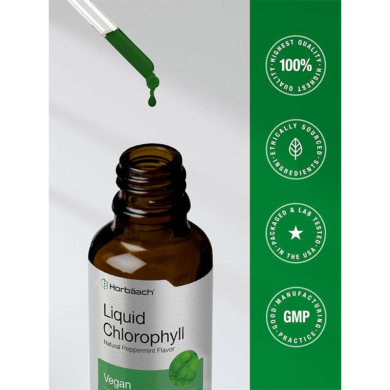 Glow from the Inside Out: Horbäach Liquid Chlorophyll Drops