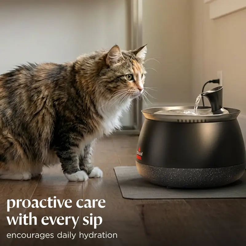 Fresh Running Water That Keeps Your Pets Healthy & Hydrated