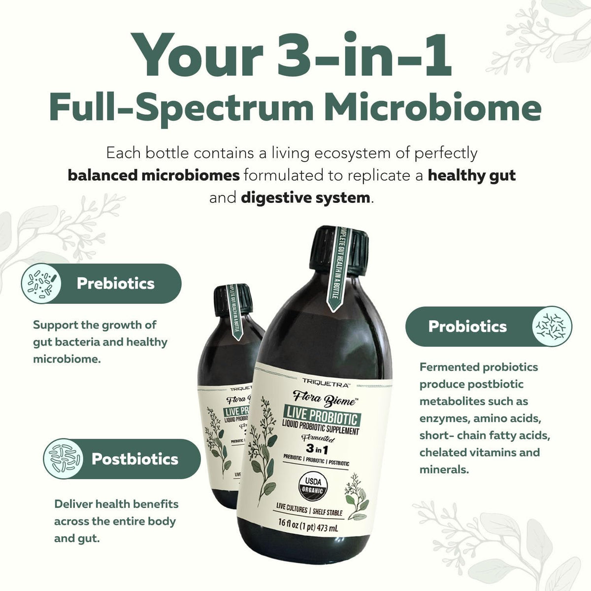 3-in-1 Complete Gut Bio-Ecosystem: Prebiotic, Probiotic & Postbiotic Liquid