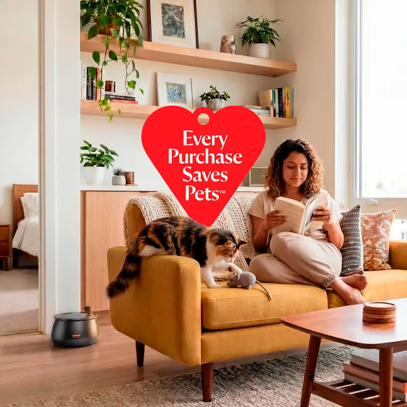 Fresh Running Water That Keeps Your Pets Healthy & Hydrated