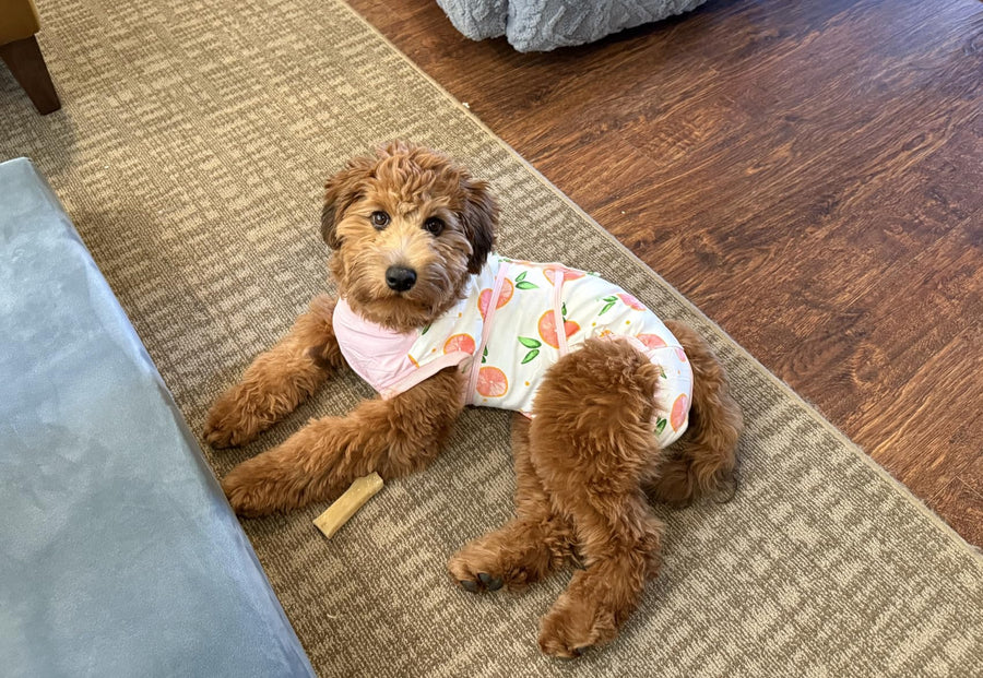 Amazon review photo from Reese for C901