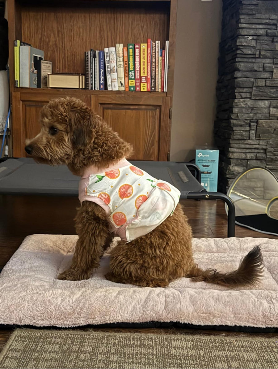 Amazon review photo from Reese for C901