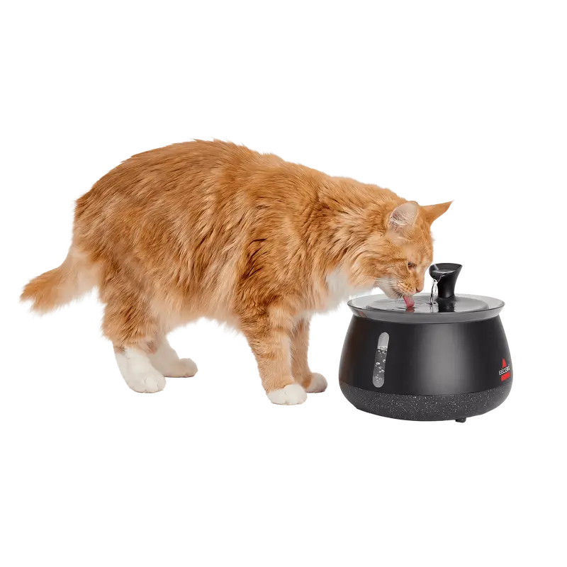 Fresh Running Water That Keeps Your Pets Healthy & Hydrated