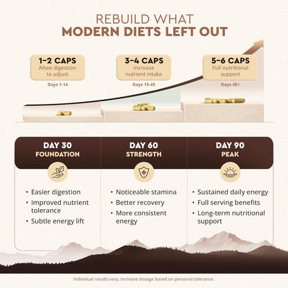 Reclaim Your Primal Energy With Grass Fed Beef Liver Capsules