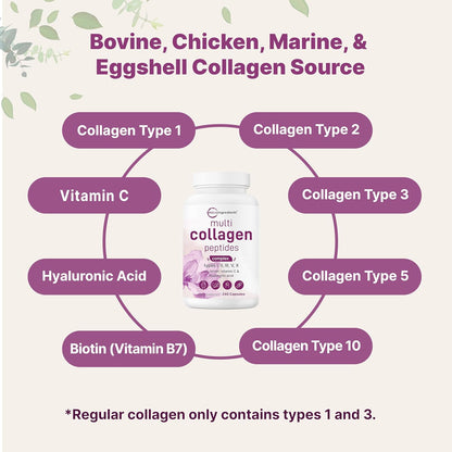 Five Types of Collagen. One Complete Solution
