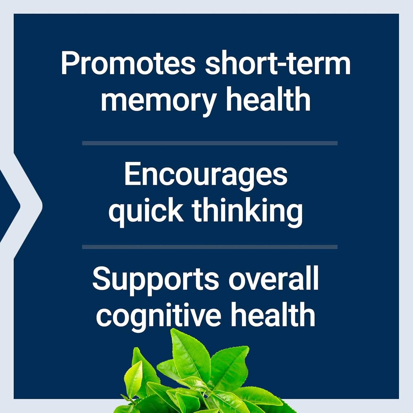 Fuel Your Brain. Restore Your Focus