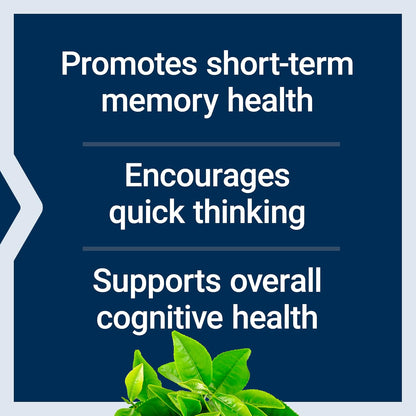 Fuel Your Brain. Restore Your Focus
