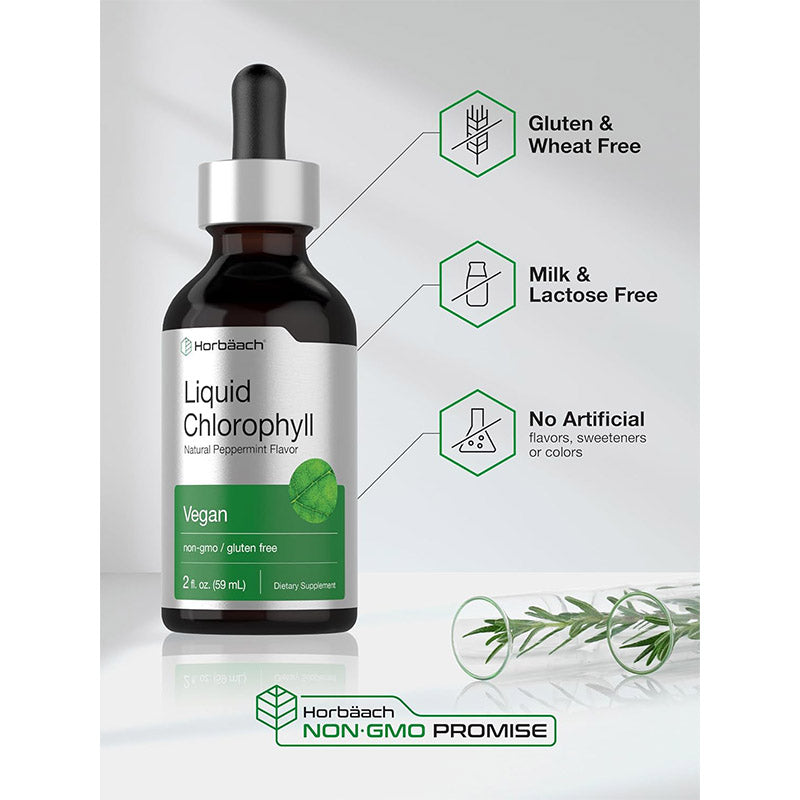 Glow from the Inside Out: Horbäach Liquid Chlorophyll Drops