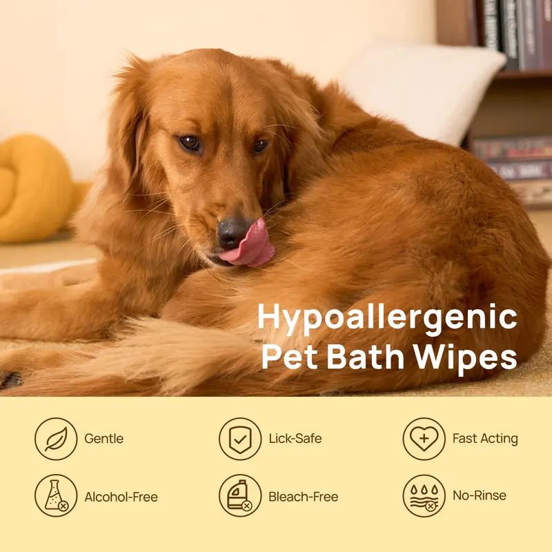 A Full Body Spa. No Water Required