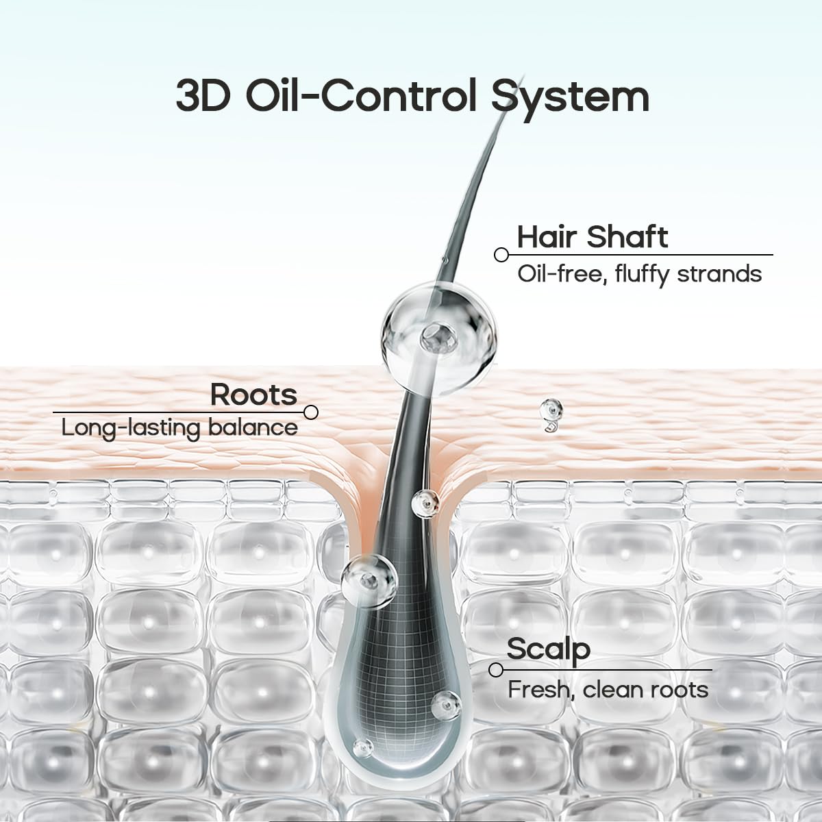 Refresh Your Mane. Leave the Weight Behind