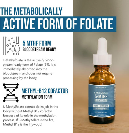 Peak Mental Clarity. Bioactive Power