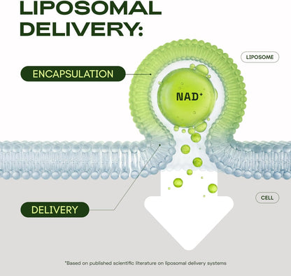 Recharge Your Cellular Battery — The Ultimate Liposomal NAD+ Formula For Ageless Vitality. ⚡💎
