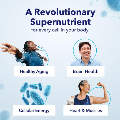 Supercharge Your Cellular Energy and Support Brain Function with Patented NAD+