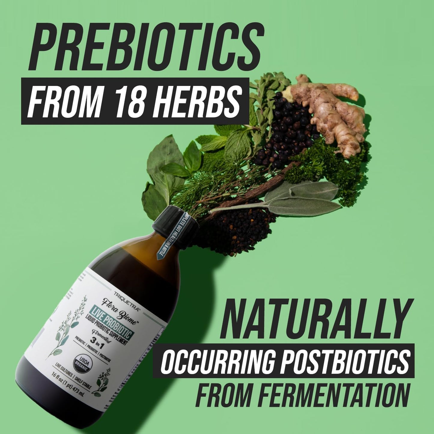 3-in-1 Complete Gut Bio-Ecosystem: Prebiotic, Probiotic & Postbiotic Liquid