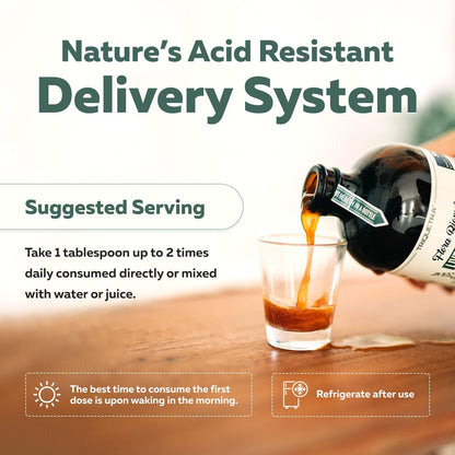 3-in-1 Complete Gut Bio-Ecosystem: Prebiotic, Probiotic & Postbiotic Liquid