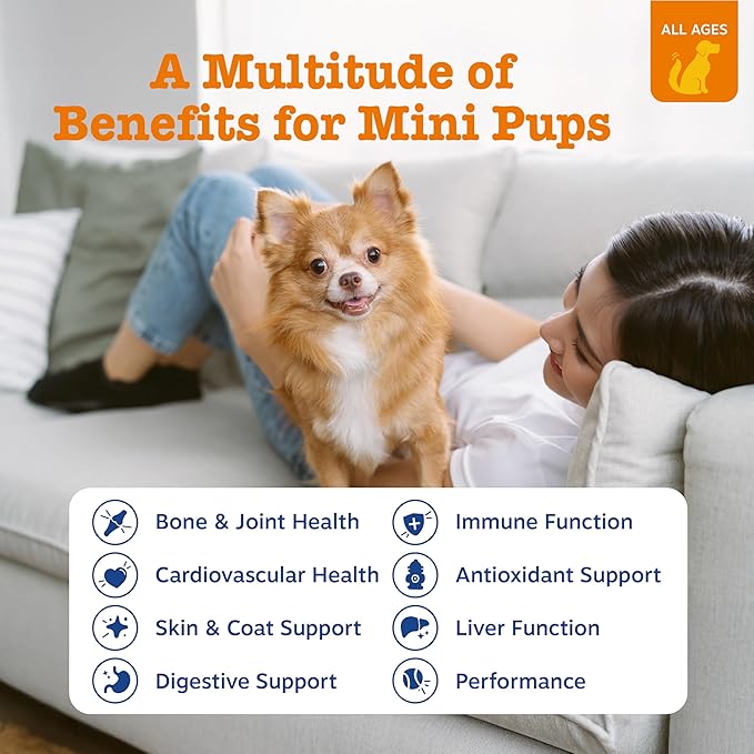 All-in-One Daily Vitality Soft Chews for Dogs