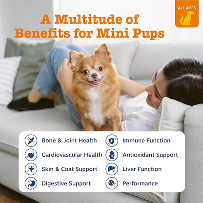 All-in-One Daily Vitality Soft Chews for Dogs