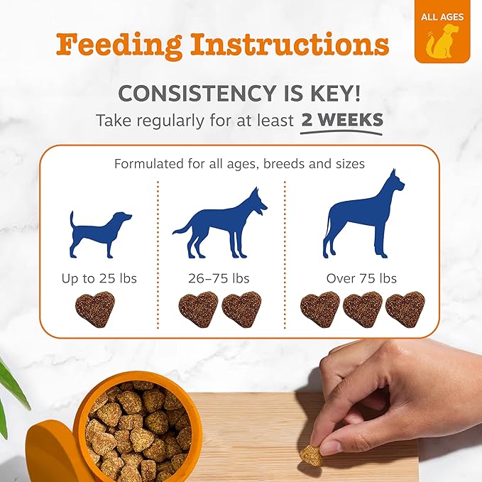 All-in-One Daily Vitality Soft Chews for Dogs
