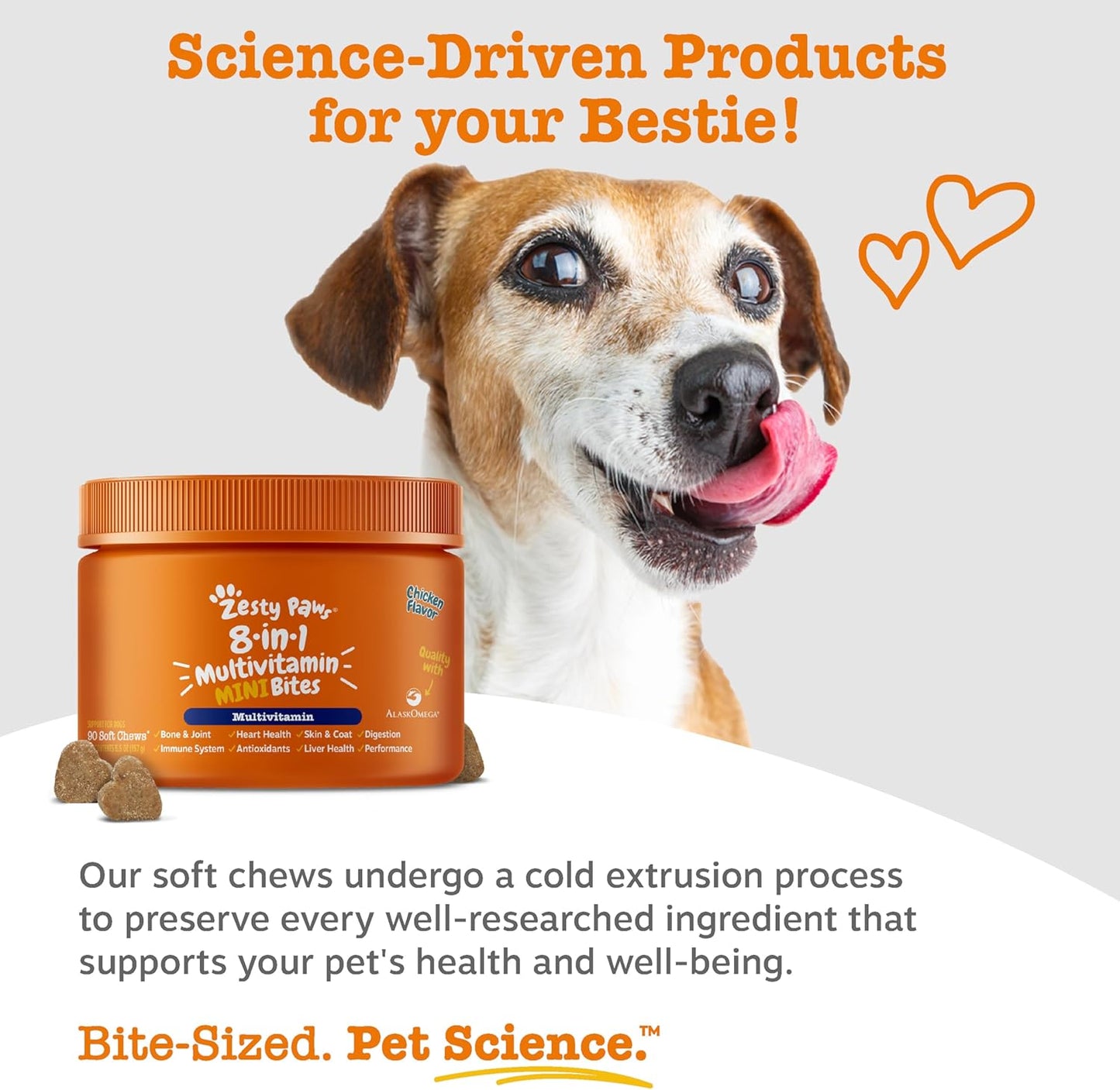 All-in-One Daily Vitality Soft Chews for Dogs