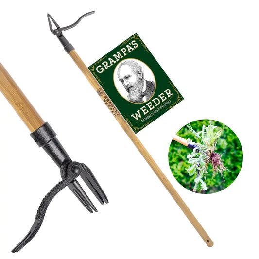 Standing Weeder with 4-Claw Root Remover