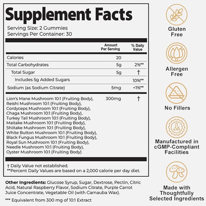 Unlock Peak Performance: 10-in-1 Daily Mushroom Super-Blend