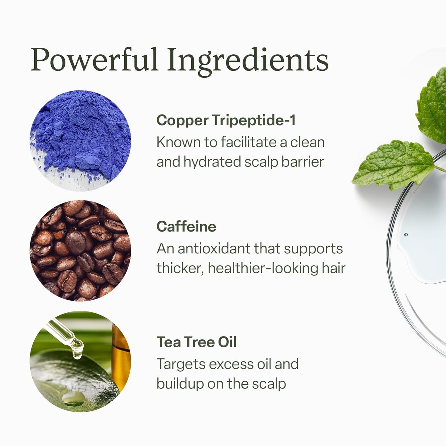 Revitalize Your Roots for Thicker, Fuller-Looking Hair