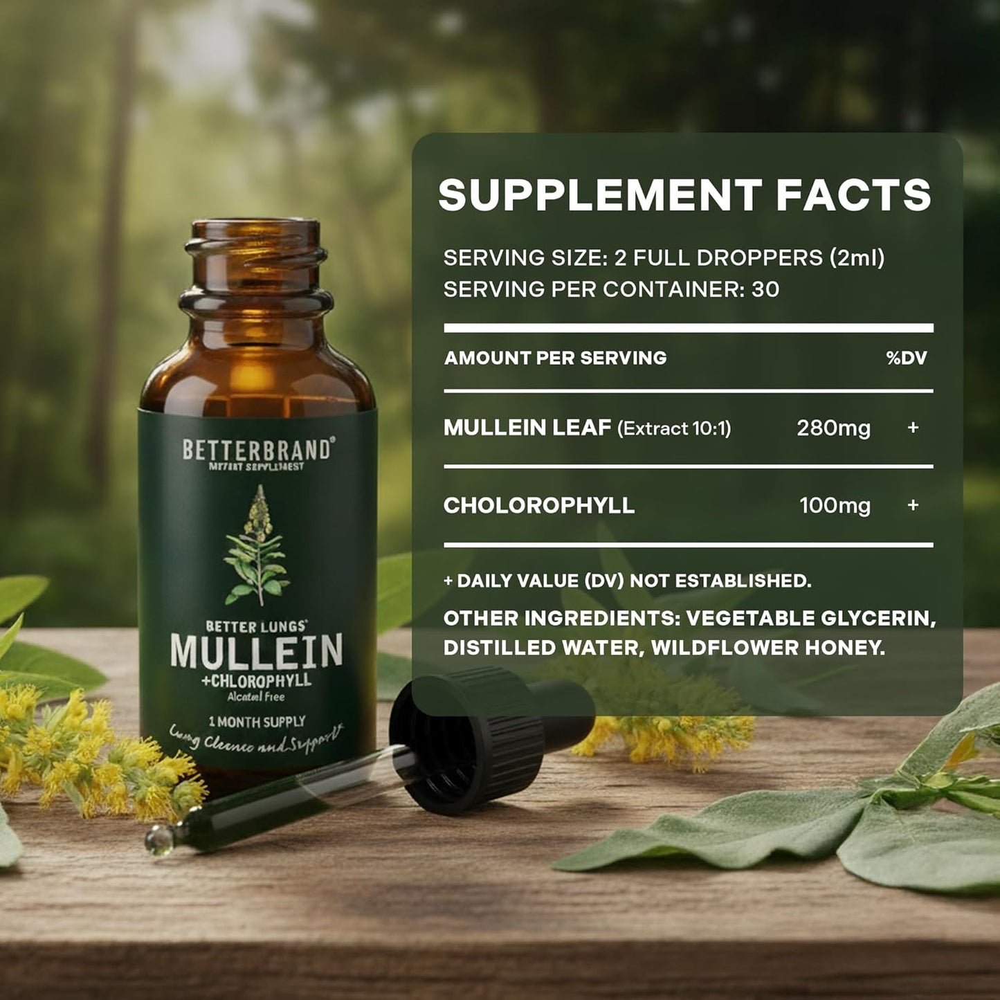 Natural Respiratory Support & Lung Detox - Mullein Leaf & Chlorophyll Drops
