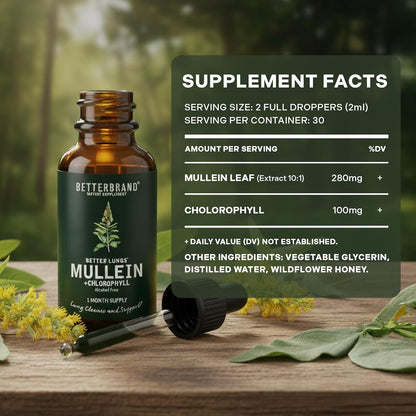 Natural Respiratory Support & Lung Detox - Mullein Leaf & Chlorophyll Drops
