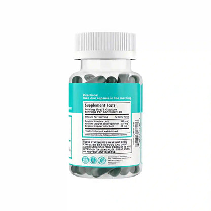 Neutralize Body Odor from Within for All-Day Freshness