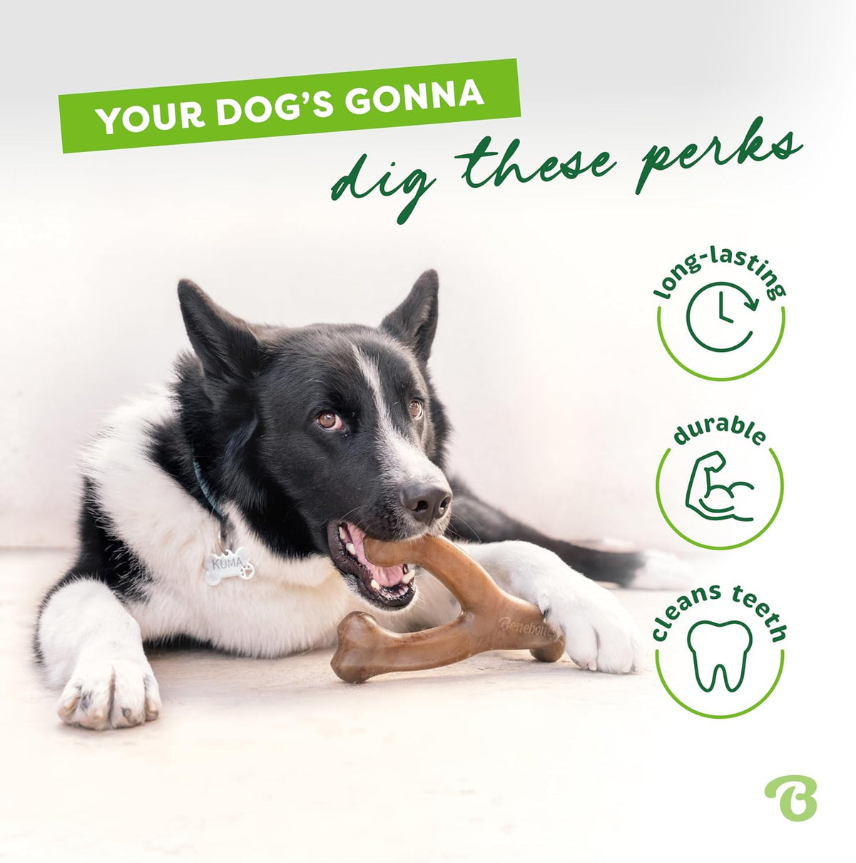 Original Bacon wishbone chew toy illustration — dog chewing example