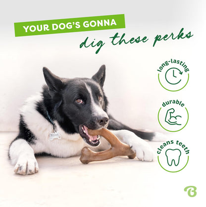Original Bacon wishbone chew toy illustration — dog chewing example