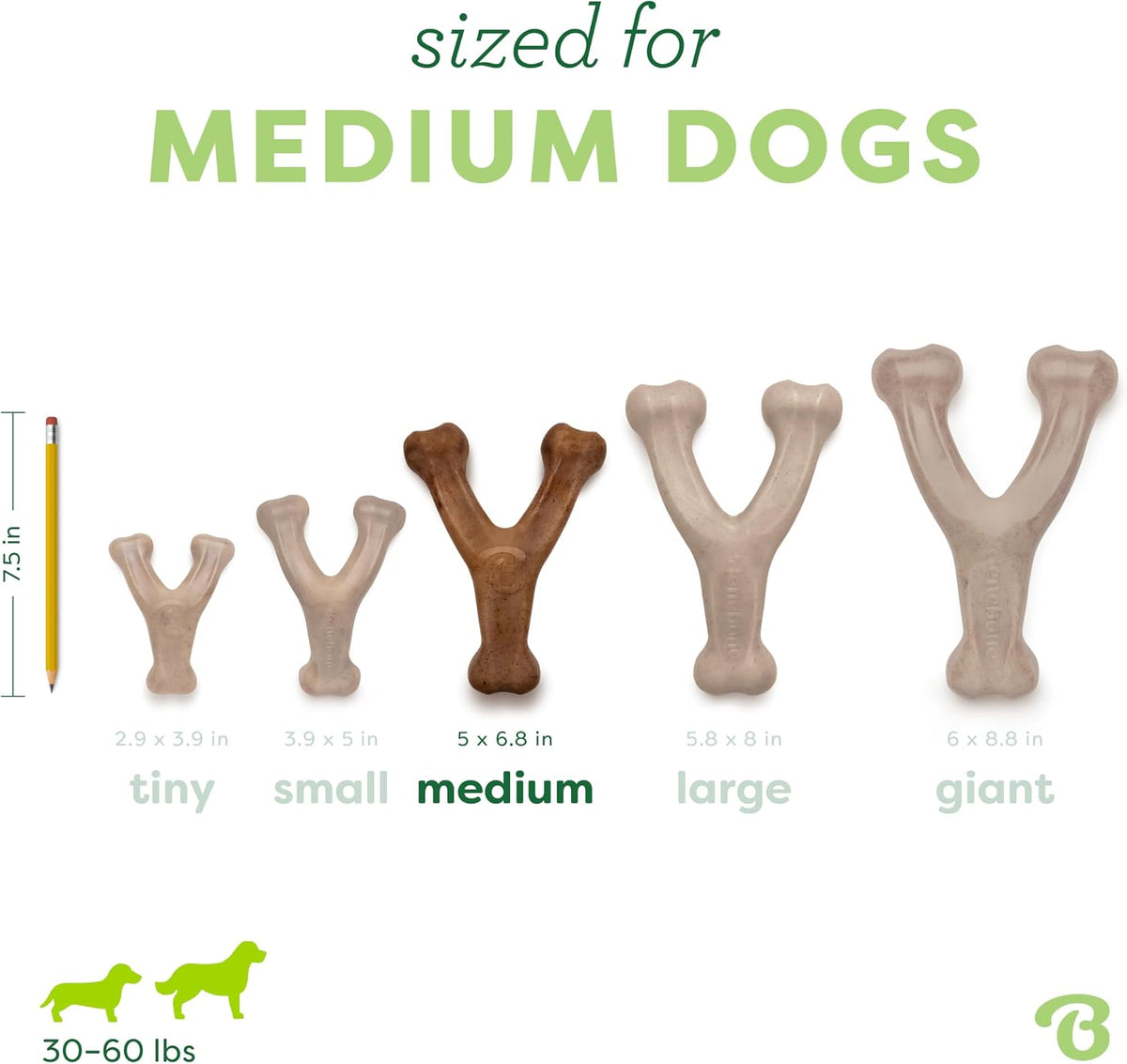 Original Bacon wishbone chew toy illustration — size comparison chart