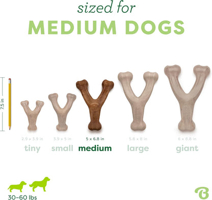Original Bacon wishbone chew toy illustration — size comparison chart
