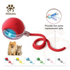 Mizusu Rechargeable Rolling Pet Toy — Two Toys