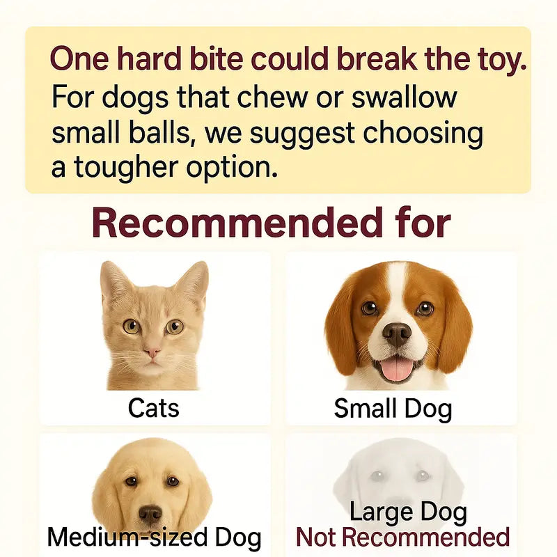 Mizusu Interactive Cat & Dog Teaser Toy with Two Additional Tails, Kitten Rolling Ball Toy, Pet Supplies, Dog & Cat Accessories Cute dog toys original gallery 3